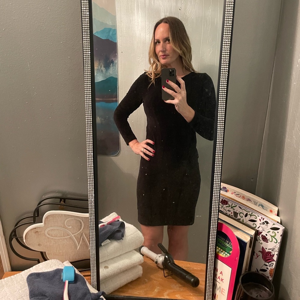 J Crew Velvet Dress- Size 10